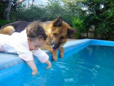 搞笑的說說句子心情