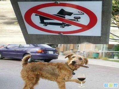 有趣值得的轉(zhuǎn)發(fā)的說說，朋友圈有趣的說說