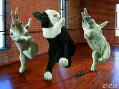 搞笑逗比說說大全，適合發(fā)說說的逗比段子