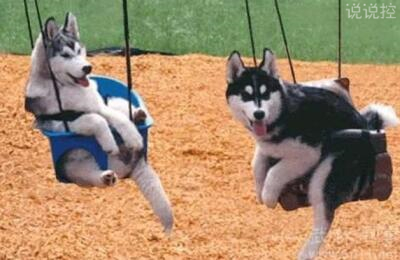 關(guān)于搞笑的說說，關(guān)于搞笑的句子