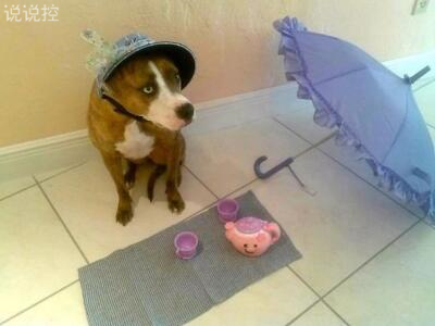 搞笑說說笑死人，笑死不償命的說說