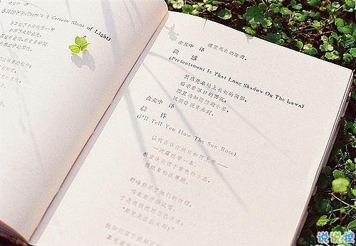 2019最火爆網(wǎng)易云音樂熱評短句大全 網(wǎng)易云音樂熱評關(guān)于愛情2