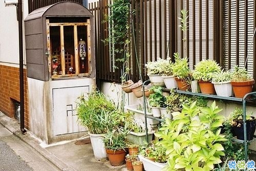 愛(ài)情超級(jí)甜的幸福說(shuō)說(shuō)大全 2019微信幸福說(shuō)說(shuō)心情短語(yǔ)1