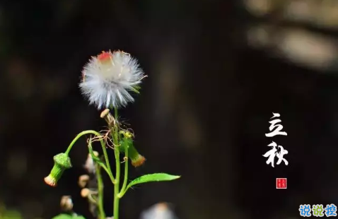 你好秋天的說(shuō)說(shuō)心情大全2018最新版 嗨秋天心情說(shuō)說(shuō)大全精選2