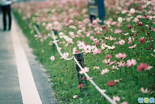 2018最后一天對(duì)自己說(shuō)的話經(jīng)典版 致即將逝去的2018！2