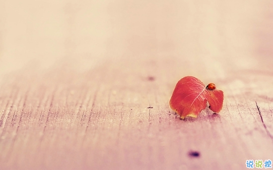 心累的說說對愛情失望了 身心疲憊想放棄說說1