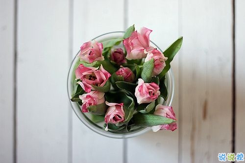 早安說說勵(lì)志致自己一句話 簡(jiǎn)短正能量的早安說說大全2