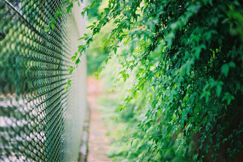 愛(ài)情中的孤獨(dú)寂寞說(shuō)說(shuō) 每個(gè)人都曾在愛(ài)情中流淚的傷感說(shuō)說(shuō)1