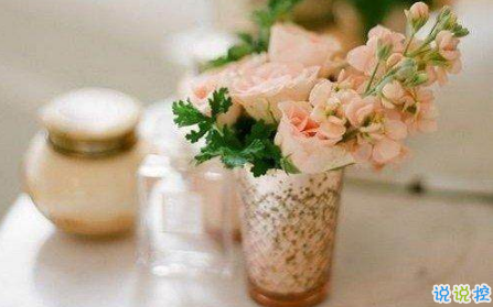 空間置頂說(shuō)說(shuō)清新句子簡(jiǎn)單干凈 2018小清新空間說(shuō)說(shuō)好聽(tīng)的2