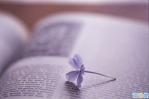 給女生的小情話暖人心超浪漫 低調(diào)秀恩愛的說說心情短語2