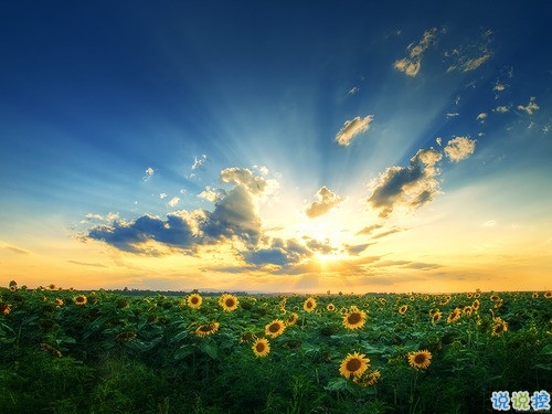 人生感悟說(shuō)說(shuō)剪短一點(diǎn)的 經(jīng)歷成長(zhǎng)的經(jīng)典說(shuō)說(shuō)合集2