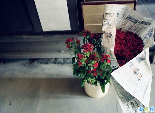 超搞笑幽默句子很簡短的那種 笑到流淚的有趣說說大全2