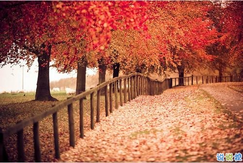 簡單一句話愛情說說心情短語 2019發(fā)朋友圈的經(jīng)典愛情說說2