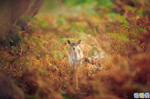 2019二月早安心語(yǔ)簡(jiǎn)單一句話 二月你好正能量心情說(shuō)說(shuō)1