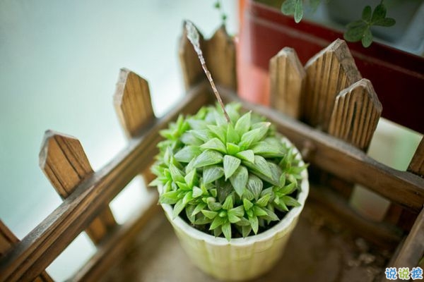 網(wǎng)易云音樂熱評語錄短語精選2019 我勸你早點喜歡我免得浪費時間1