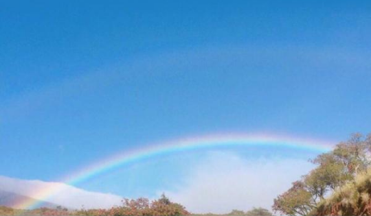 關(guān)于愛情最美好模樣的治愈文藝說說2