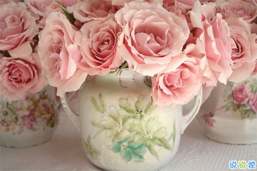 那些讓你欲罷不能的土味雷人情話說(shuō)說(shuō) 落葉歸根你歸我2