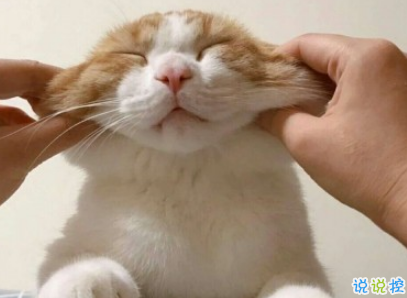 qq擴(kuò)列說(shuō)說(shuō)怎么寫逗比 超級(jí)搞笑有趣的擴(kuò)列說(shuō)說(shuō)2