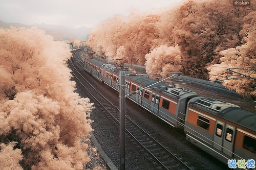 簡(jiǎn)單一句話經(jīng)典說說人生哲言 前進(jìn)的腳步從未停止的人生經(jīng)典說說1