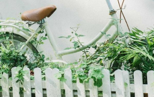 關(guān)于愛情最美好模樣的治愈文藝說說1