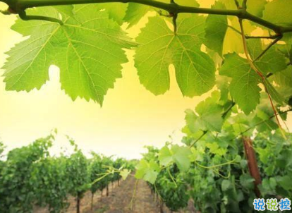 2019勵(lì)志早安問(wèn)候語(yǔ) 最新早安心語(yǔ)一句話2