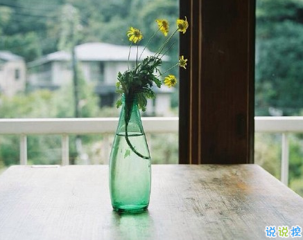 深有感悟的傷感愛情說說 簡(jiǎn)短一句話直戳人心的愛情說說2