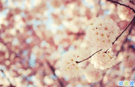 適合這個年紀(jì)發(fā)的說說朋友圈 簡單又走心的心情說說引人共鳴1