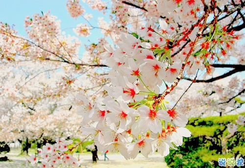 一句話描述90后的生活和心理狀態(tài) 90后對(duì)生活無(wú)奈的心情說(shuō)說(shuō)1