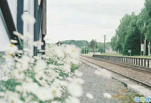 2019植樹節(jié)朋友圈心情說說 312植樹節(jié)說說簡(jiǎn)短好聽的2