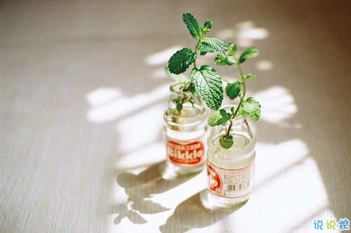 2019情人節(jié)朋友圈說說心情短語 抖音最火情人節(jié)說說大全1