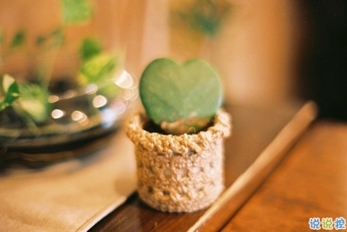 偶爾有點(diǎn)小傷感的心情說(shuō)說(shuō) 學(xué)會(huì)自我安慰的說(shuō)說(shuō)2