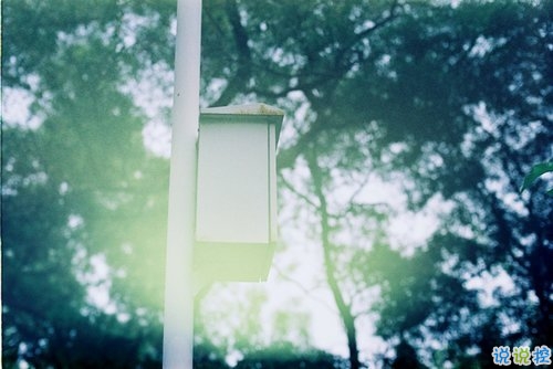 給老婆的情話大全 甜甜蜜蜜很感人的的情話給老婆2