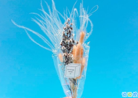 值得收藏的好詞好句適合發(fā)朋友圈 留下你很喜歡的一段話2