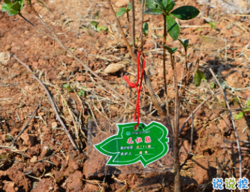 2019植樹節(jié)朋友圈說說大全 312關(guān)于植樹節(jié)的心情說說1