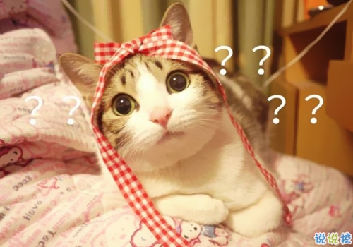 特別好笑又好玩的搞笑說(shuō)說(shuō)大全 讓人捧腹大笑的搞笑內(nèi)涵說(shuō)說(shuō)1