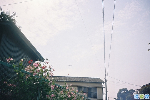 青春唯美文藝說說大全 關(guān)于我們逝去青春的經(jīng)典文藝說說2