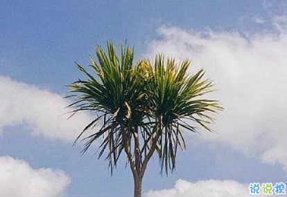 2019勵(lì)志早安問(wèn)候語(yǔ) 最新早安心語(yǔ)一句話1