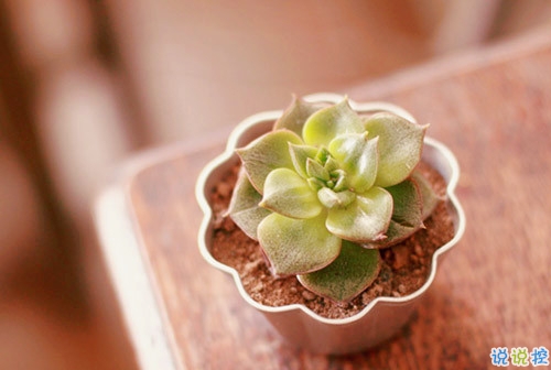 2019朋友圈經(jīng)典說(shuō)說(shuō)大全 人生路上這些道理你必須懂得1