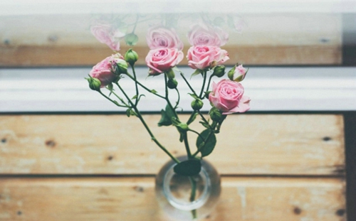 2019微信經(jīng)典說說心情短語 每個人必須了解的經(jīng)典句子2