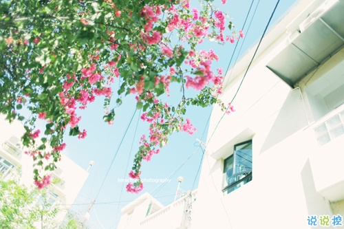 最近很火的一些女生經(jīng)典說說 送給女孩子的28句話有道理2