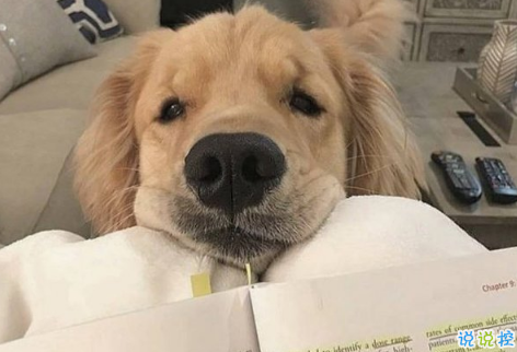 有自信的超拽說(shuō)說(shuō)00后：長(zhǎng)話短說(shuō)希望你喜歡我3