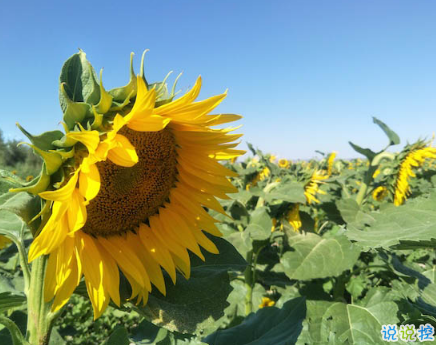 2018九月你好唯美經(jīng)典說說精選 八月再見九月你好明天會更好1