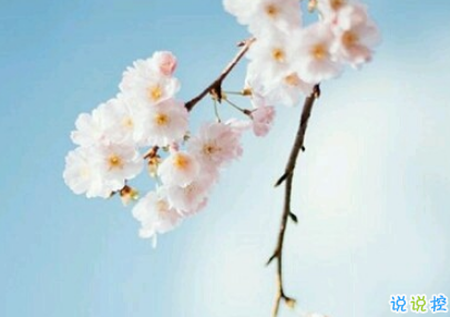 最好朋友領(lǐng)證結(jié)婚的祝福說(shuō)說(shuō)  2019好閨蜜結(jié)婚的說(shuō)說(shuō)優(yōu)美好聽(tīng)2