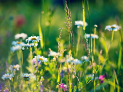 朋友圈個性說說簡單一句話 趁著年輕把能干的壞事干了吧