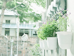 2019微信最火的說說 被點(diǎn)贊轉(zhuǎn)發(fā)最高的30條說說