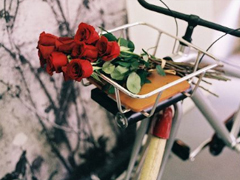 2019晚安心語(yǔ)心情說說大全 每天睡前一句晚安說說致所有人