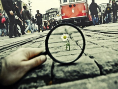 適合旅游時(shí)發(fā)的心情說說 女生發(fā)朋友圈最喜歡的可愛個(gè)性句子