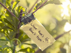 今天心情很好的說(shuō)說(shuō)短句 微信朋友圈開心快樂(lè)的說(shuō)說(shuō)