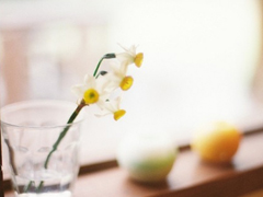 2019四月你好說(shuō)說(shuō)充滿正能量 聽(tīng)起來(lái)很溫暖的心情說(shuō)說(shuō)