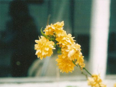 發(fā)微信朋友圈的好句子大全 別致一點(diǎn)的朋友圈說說有個(gè)性